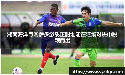 凤凰联盟平台